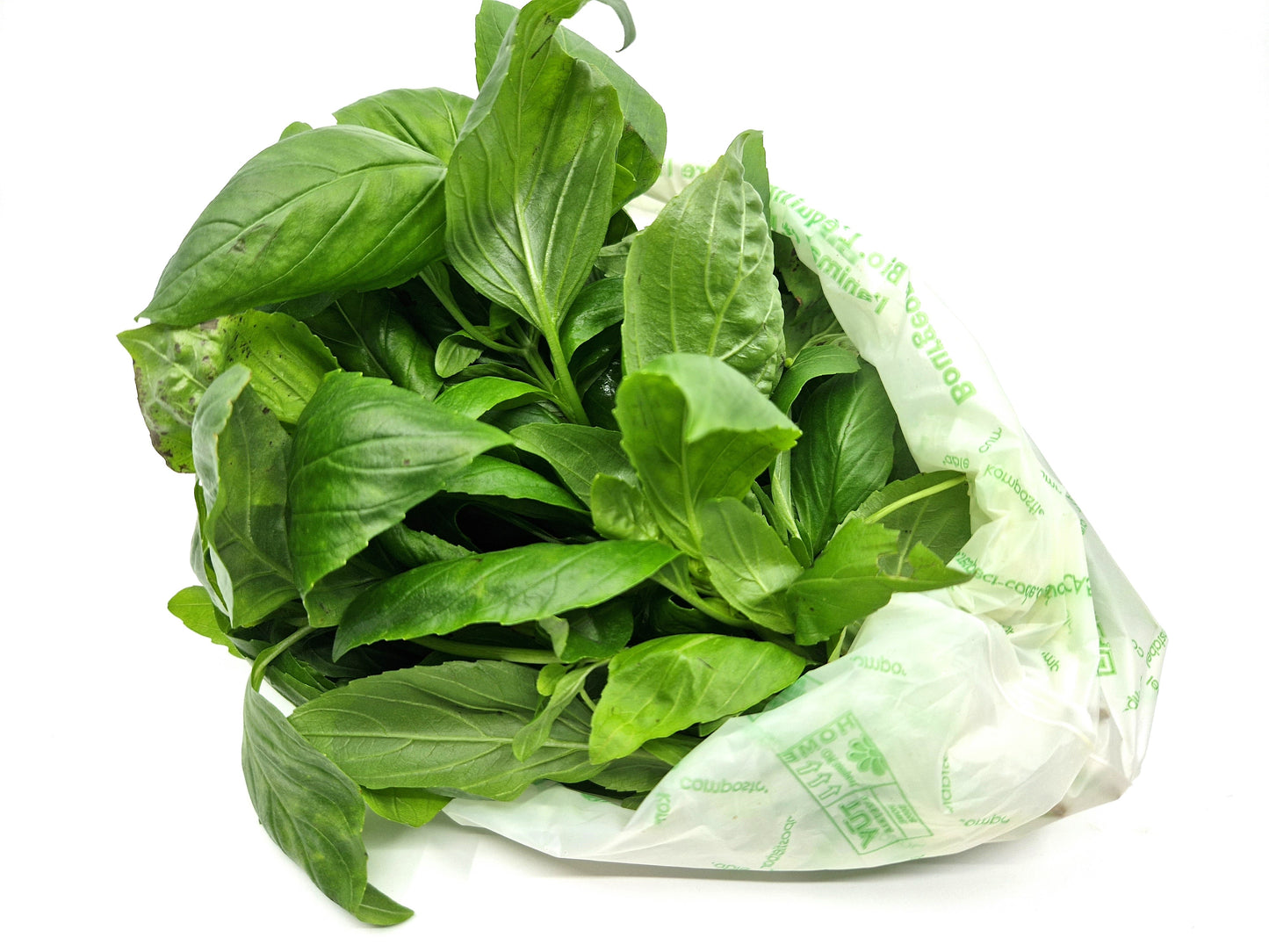 Bio Basilico