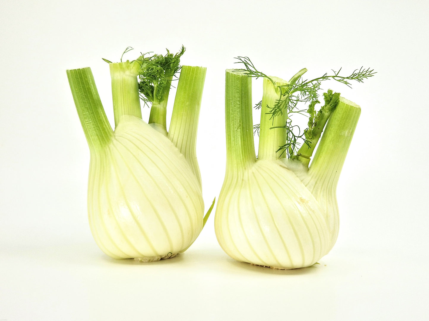 Bio Finocchion 500g