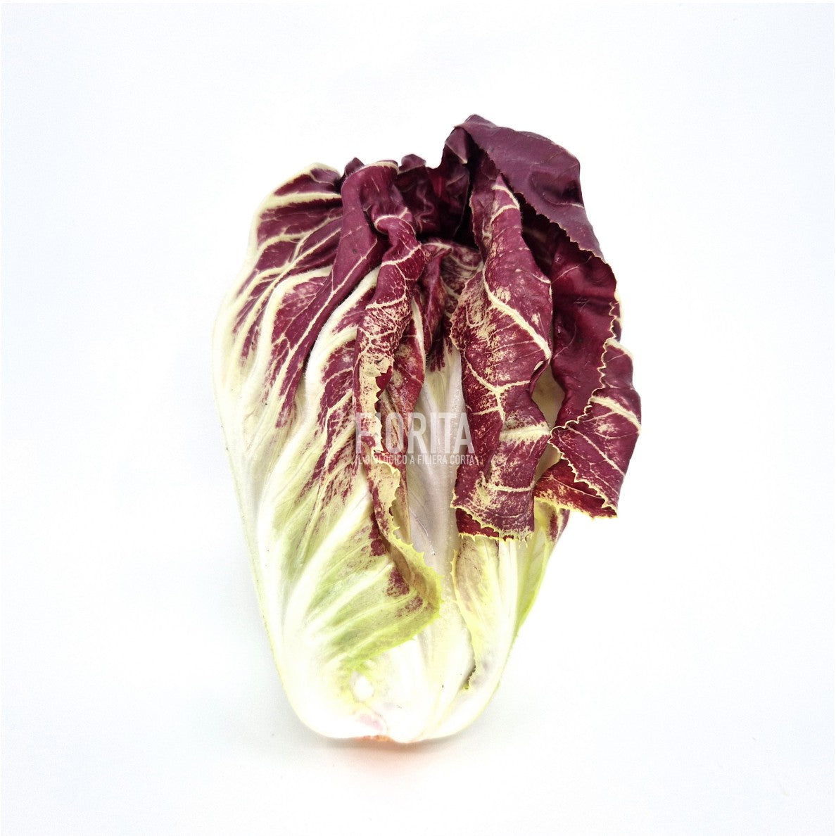Bio Radicchio di Treviso "Trevisana" 350g