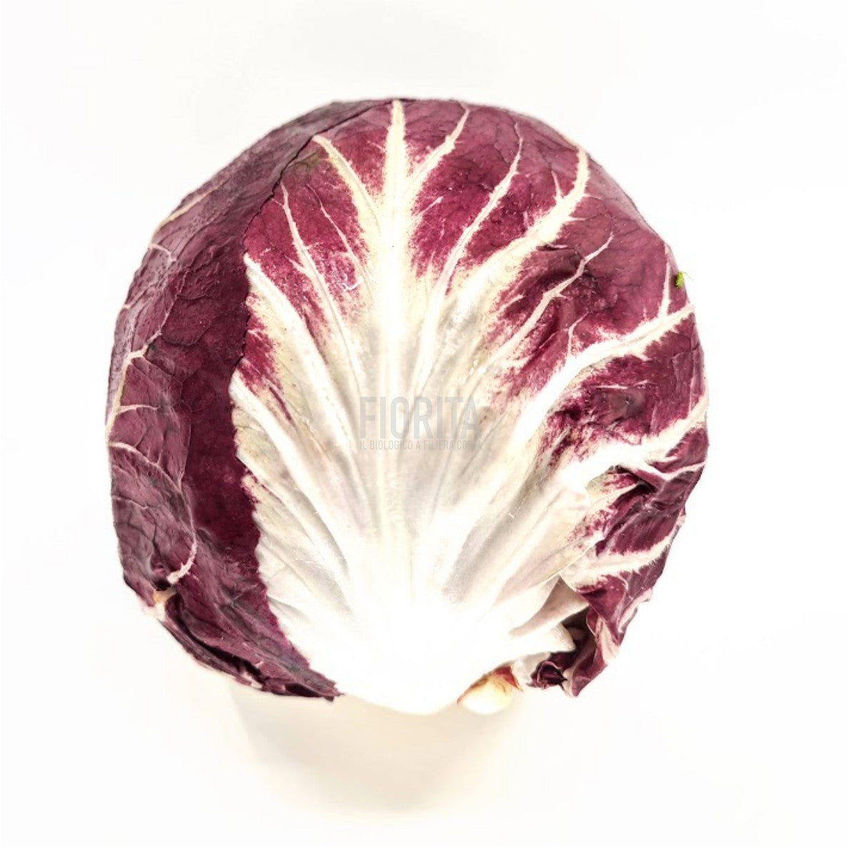 Bio Cicorino rosso Chioggia 350g/pz