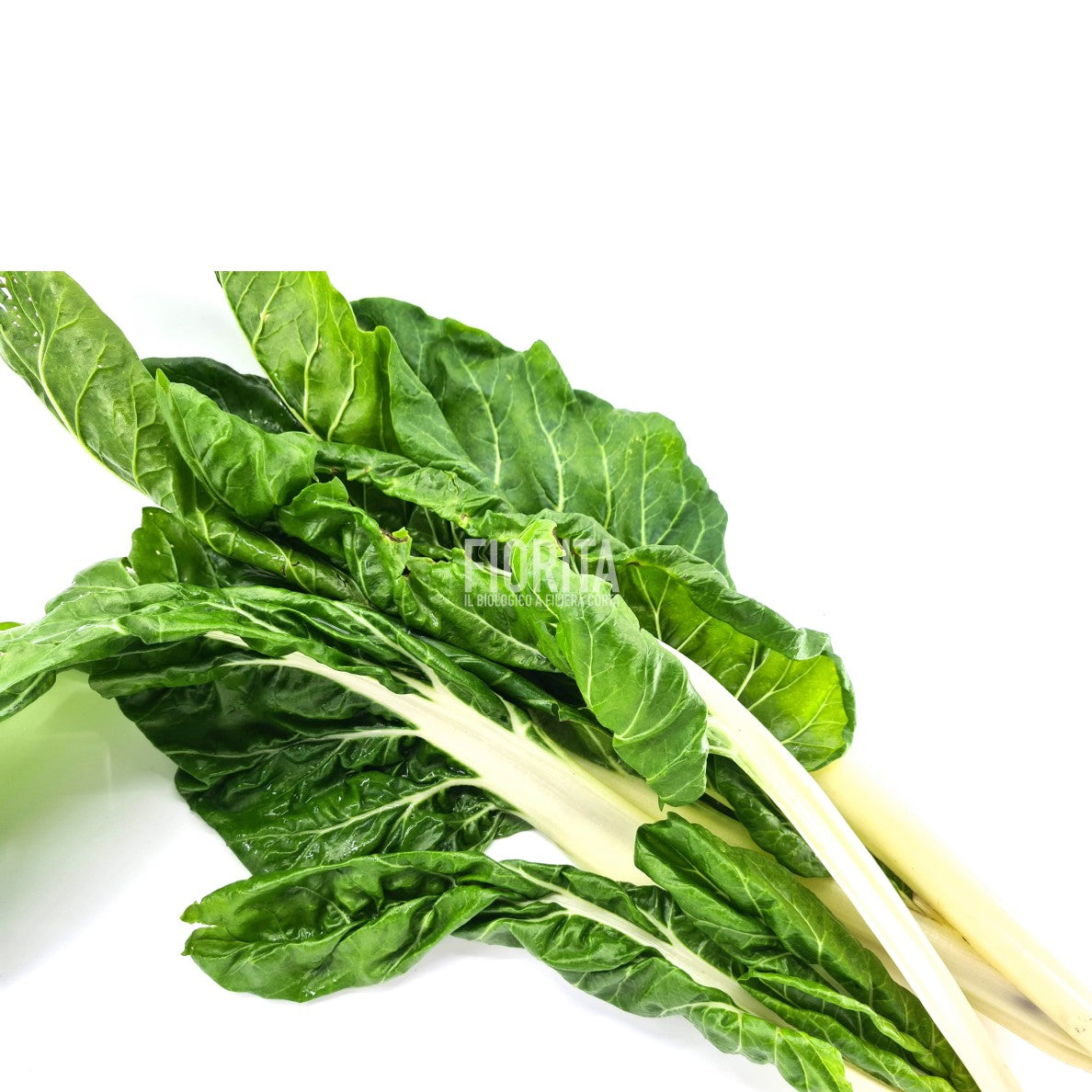Bio Coste verdi 500g