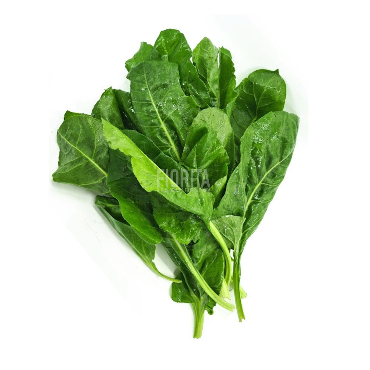 Bio Erbette 350g