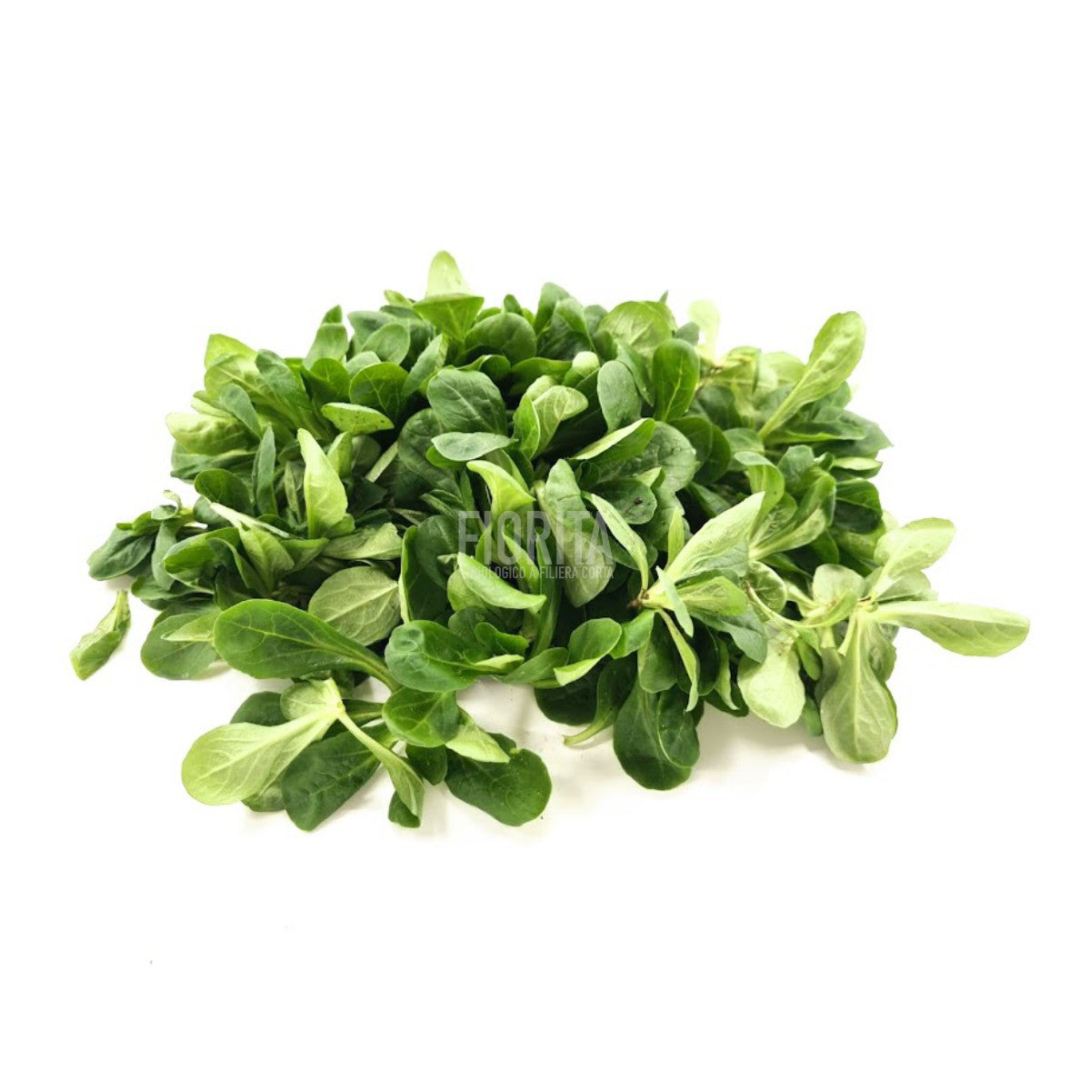 Bio Formentino 100g