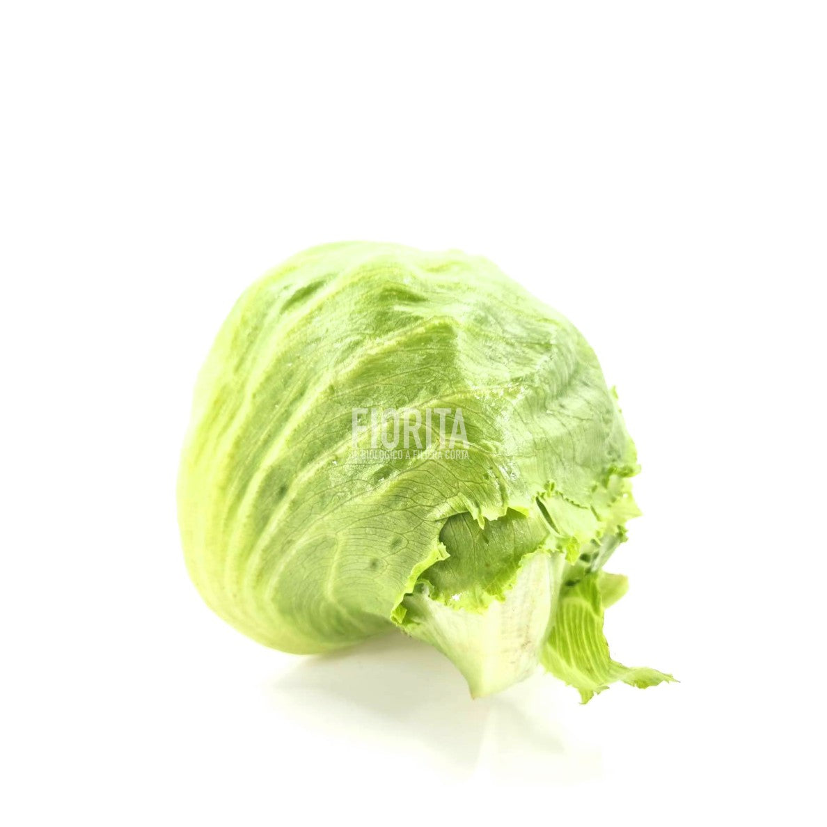 Bio Insalata Eisberg