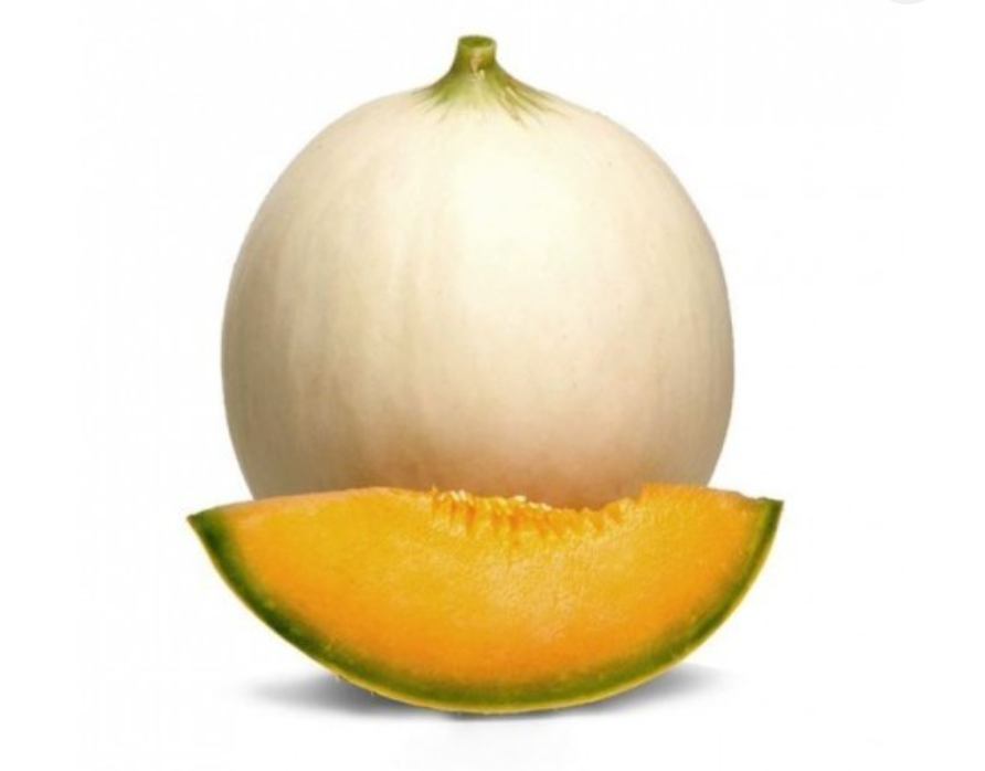 Bio Melone liscio ca. 1.2 kg