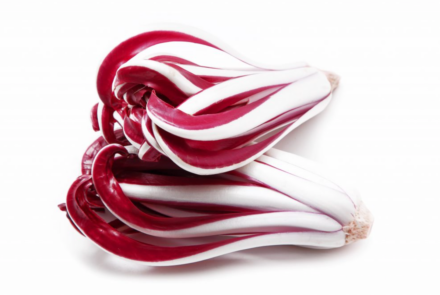 Bio Radicchio di Treviso tardivo 350g