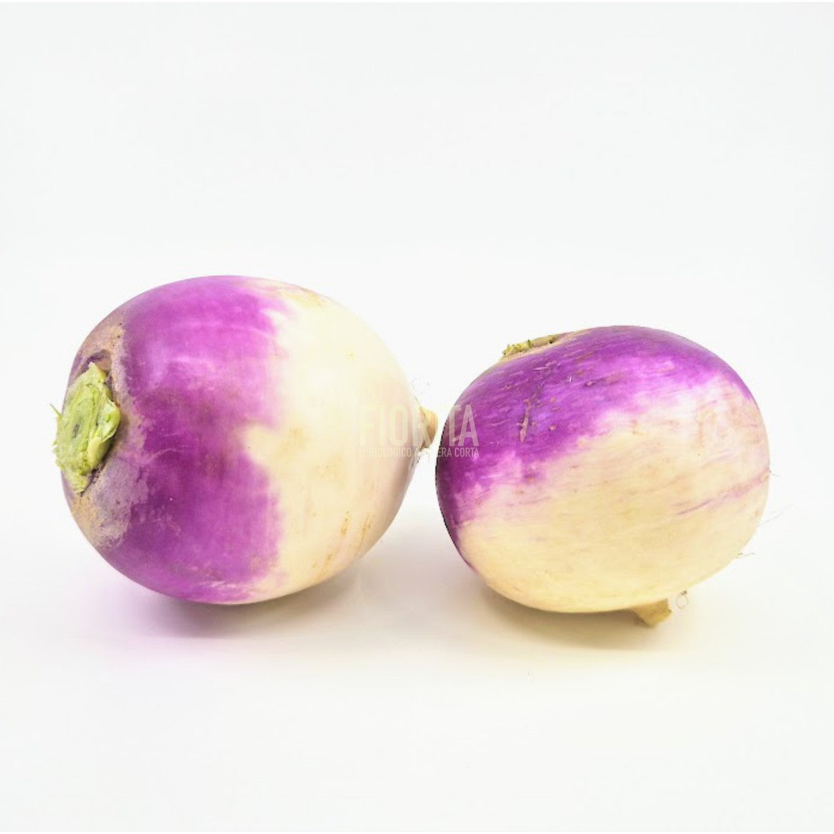 Bio Rapette autunno 450g/ca.2pz