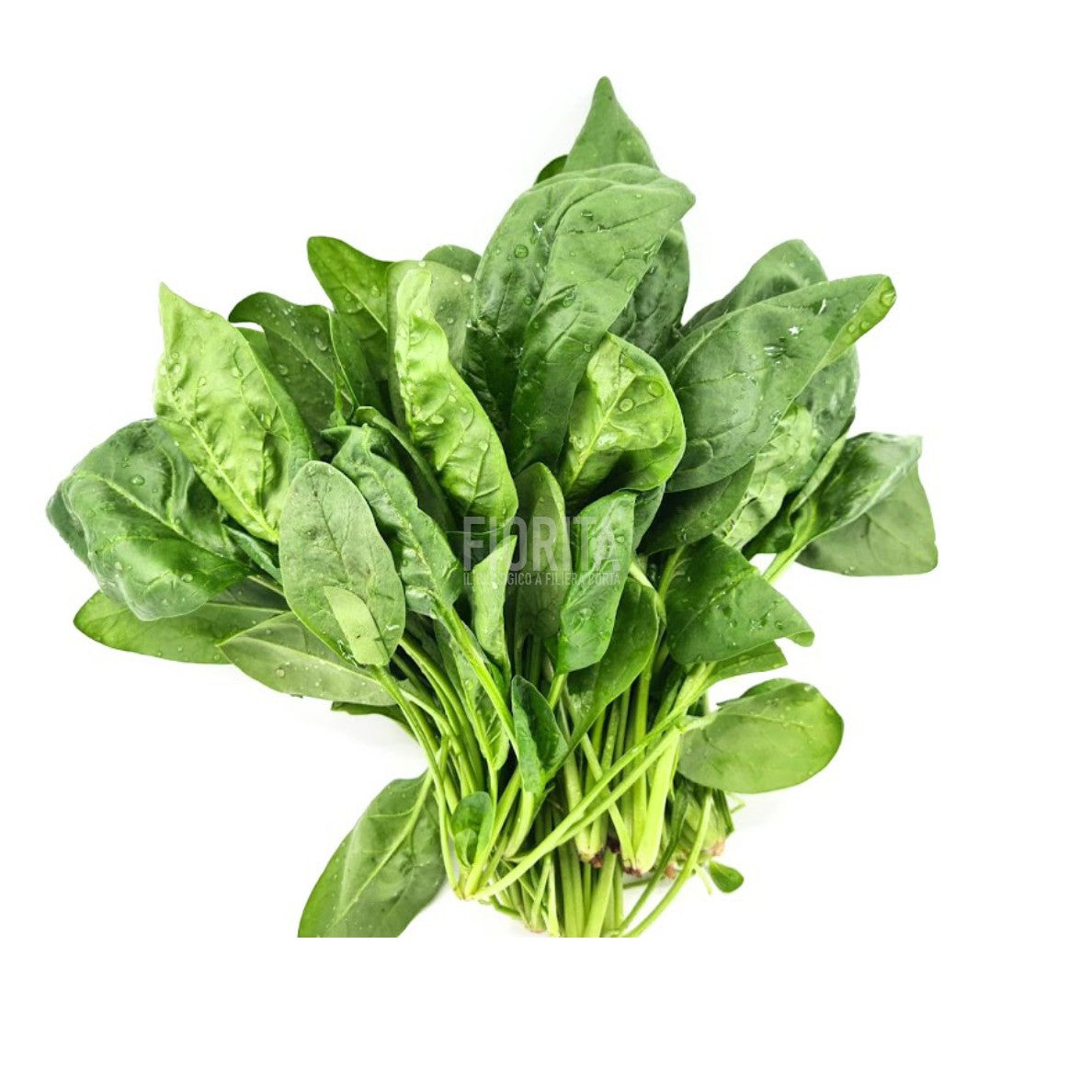 Bio Spinaci 300g