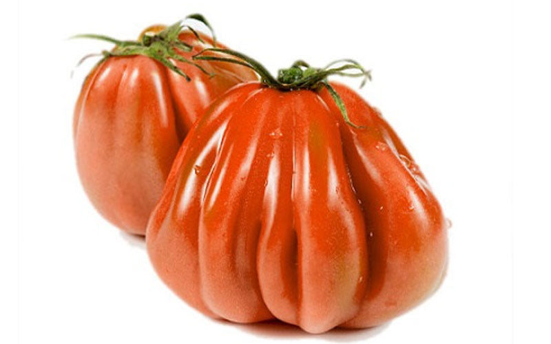 Bio Pomodori Cuore di bue 500g