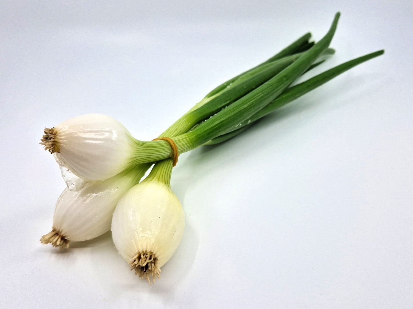 Bio Cipollotti/mazzo