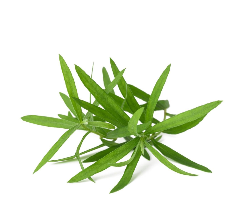 Bio Dragoncello 50g
