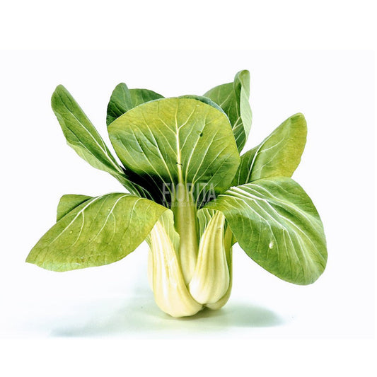 Pak Choi - l'ortaggio orientale