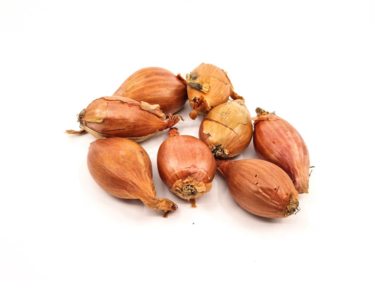 Bio Scalogno francese 300g