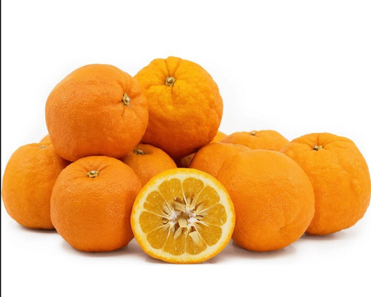 Bio Arance Amare 1kg