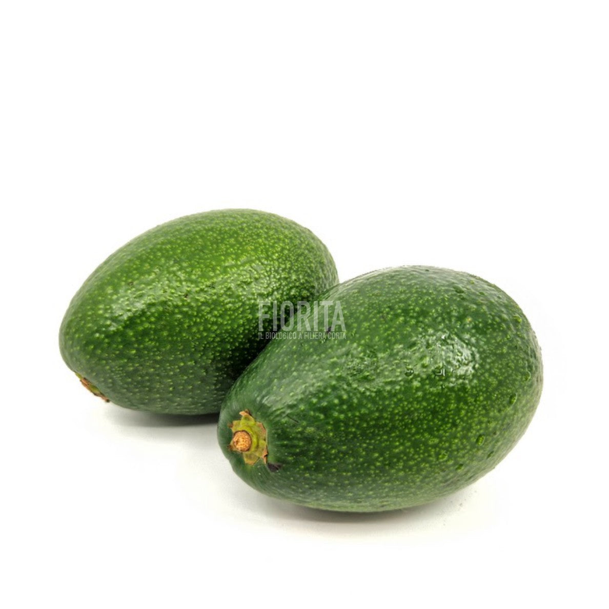 Bio Avocado Hass