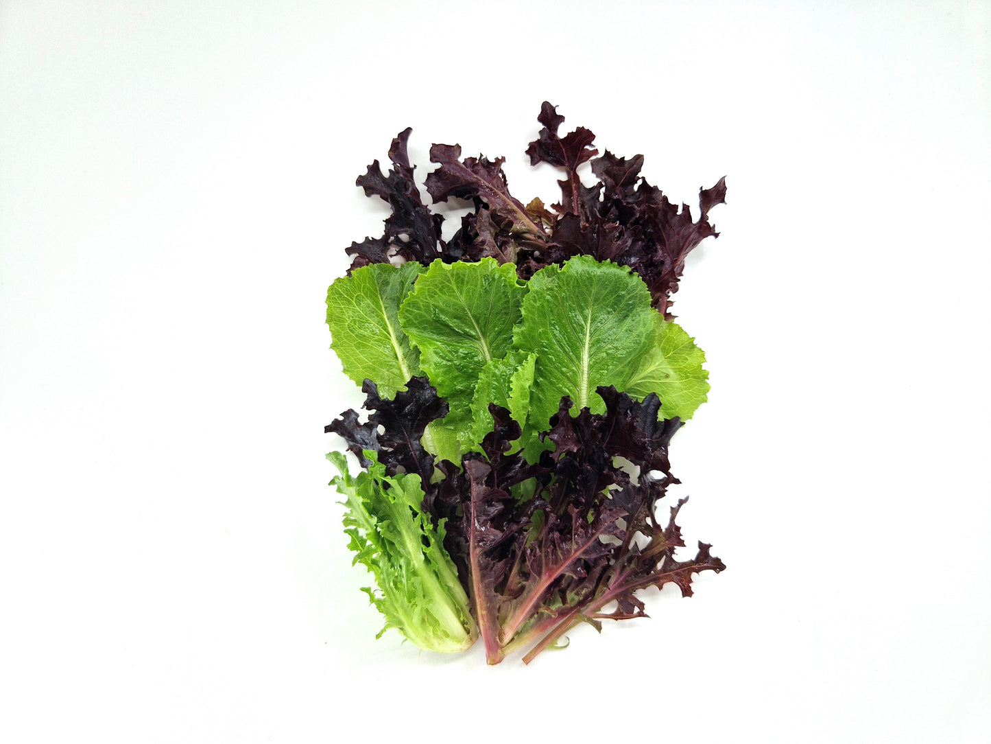 Bio Insalata Baby leaf 150g