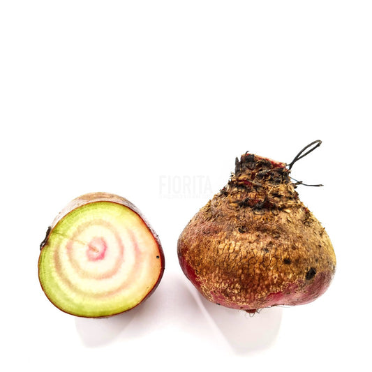 Bio Barbabietola di Chioggia
