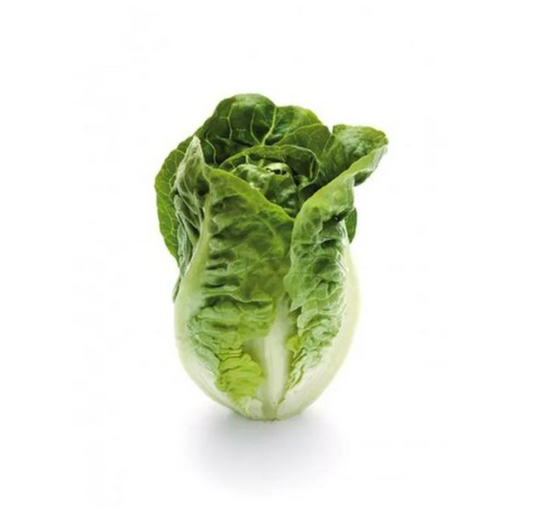 Bio Mini insalata Romana