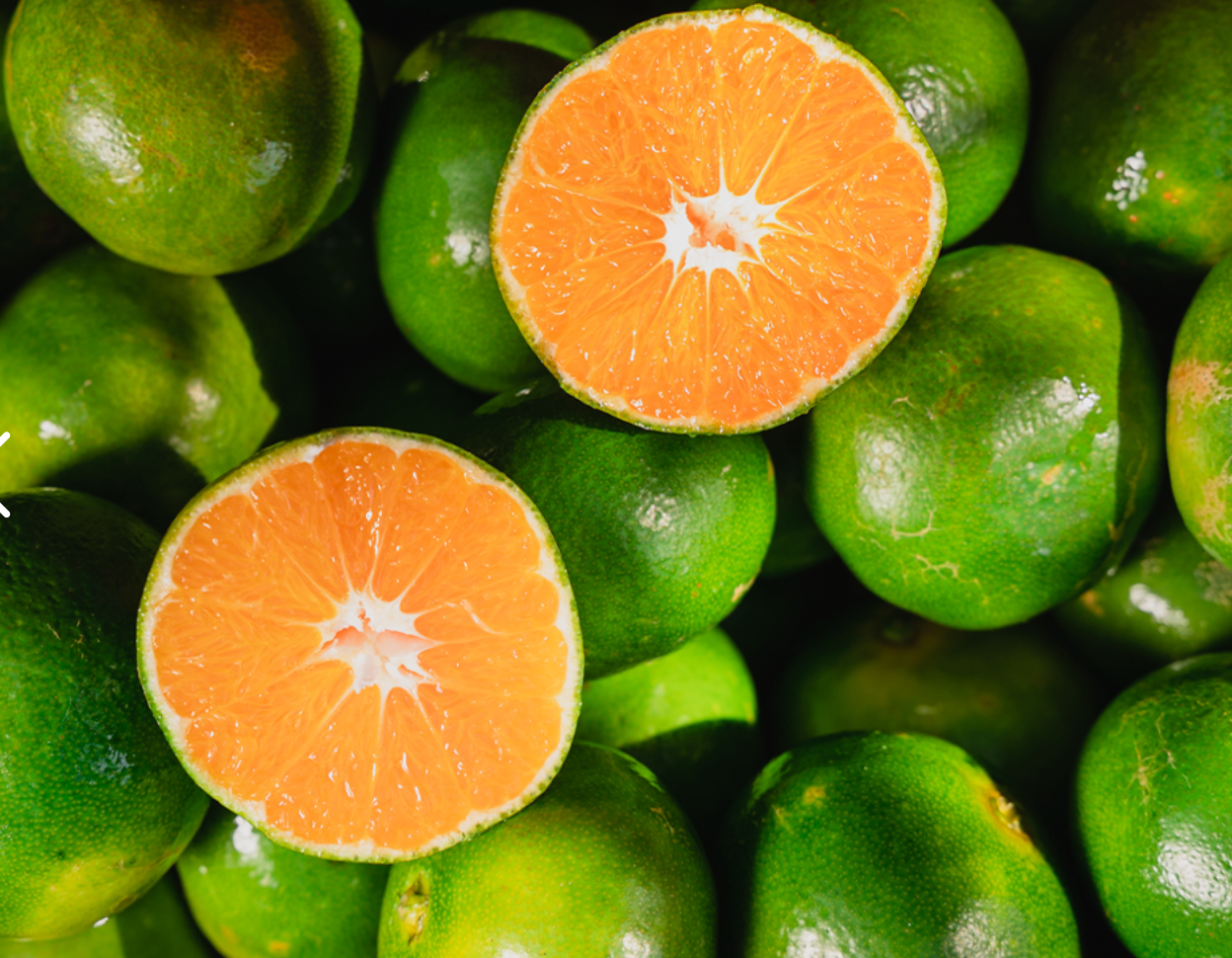 Bio Mandarini precoci Miyagawa Satsuma 350g/3pz