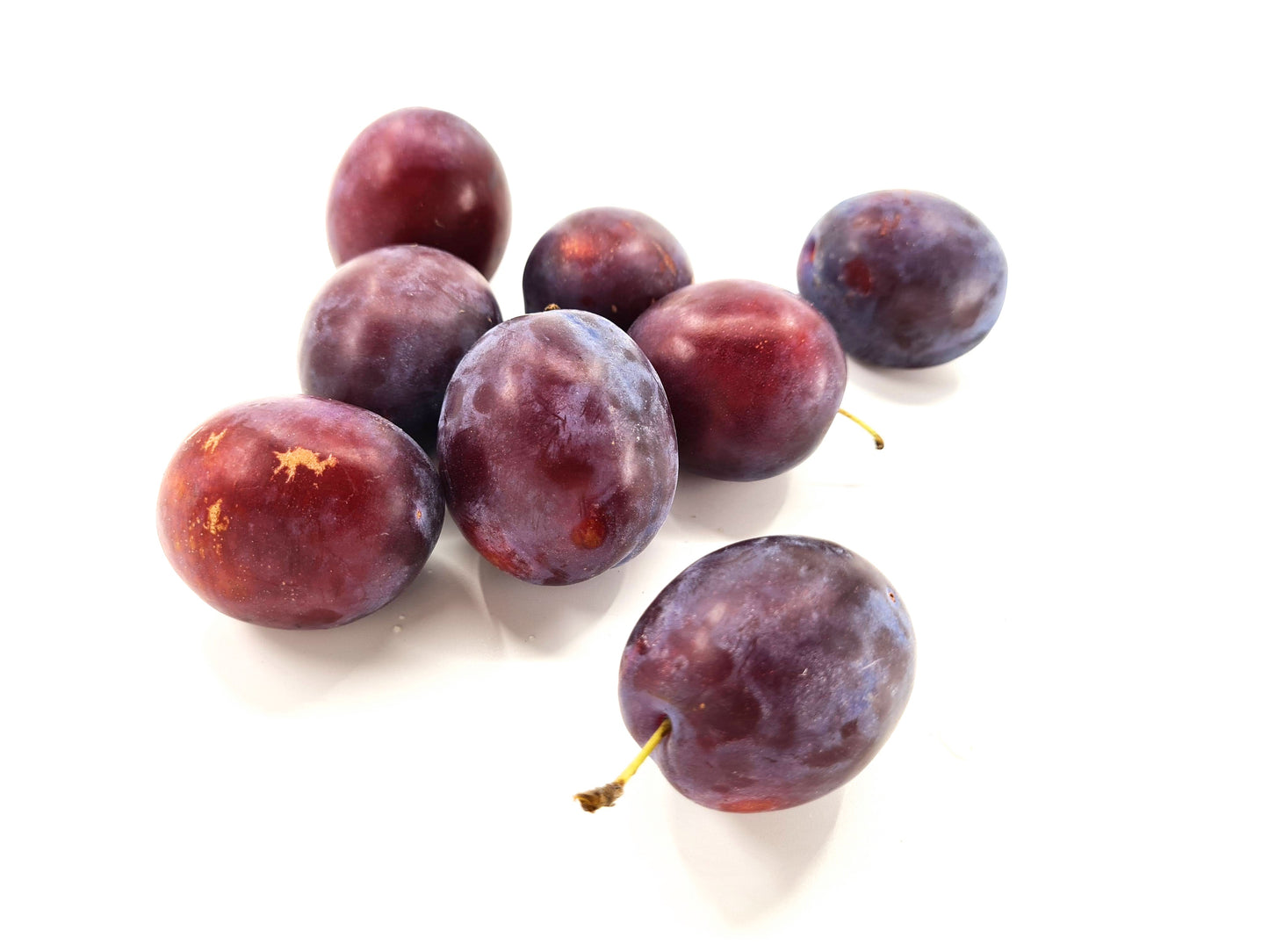 Bio Prugne Fellenberg 500g