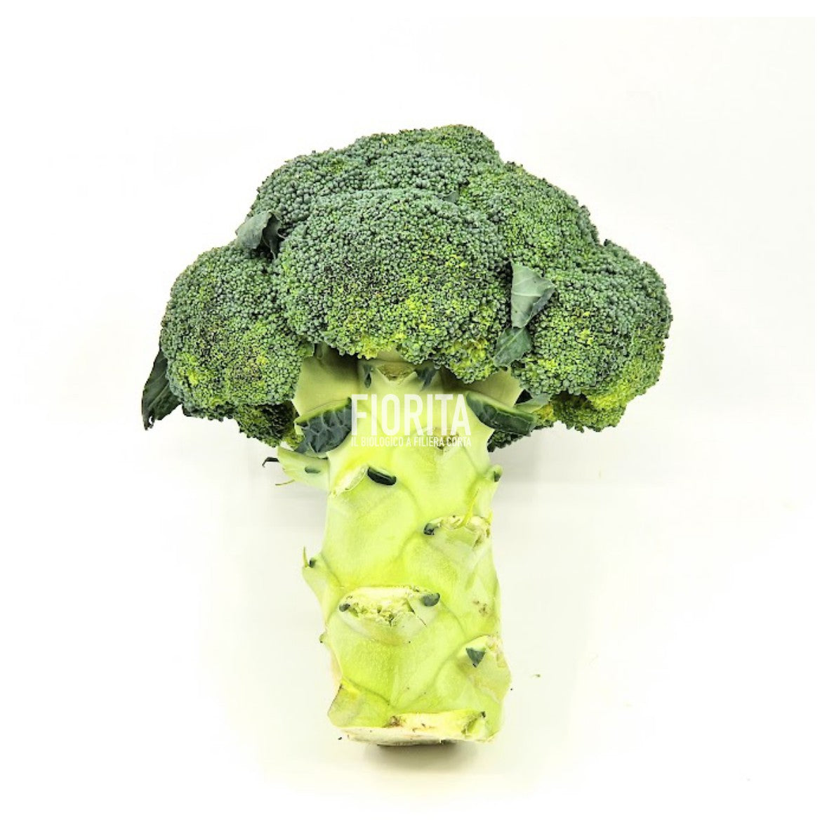 Bio Broccoli 500g