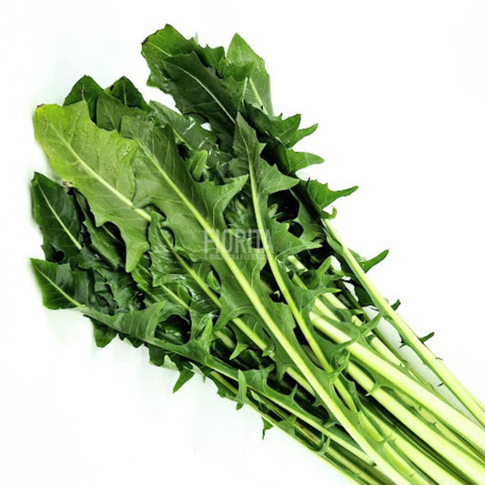 Bio Cicoria Catalogna 350g/mazzetto