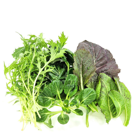 Bio Insalata Asia mista 100g