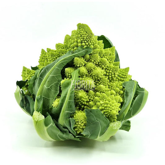 Bio Broccolo Romanesco 500g/Pz