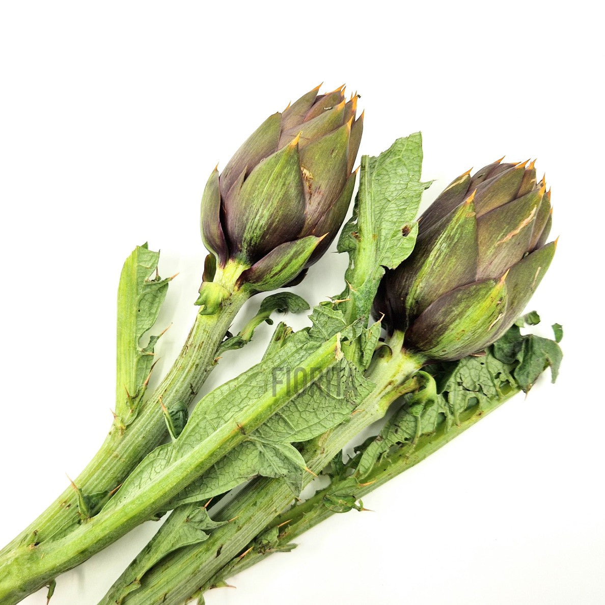 Bio Carciofi spinosi sardi 3pz