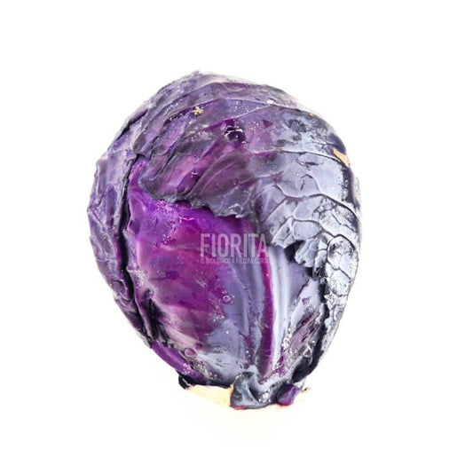 Bio cavolo cappuccio viola (Cabis) 600g