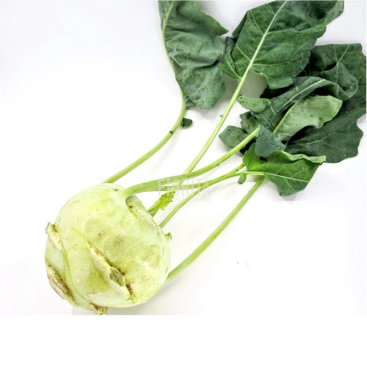 Bio Cavolo rapa