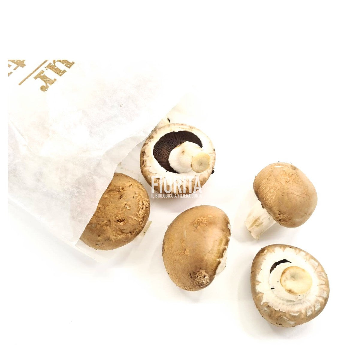 Bio Funghi Champignon 100g