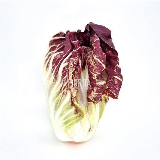 Bio Radicchio di Treviso "Trevisana" 350g