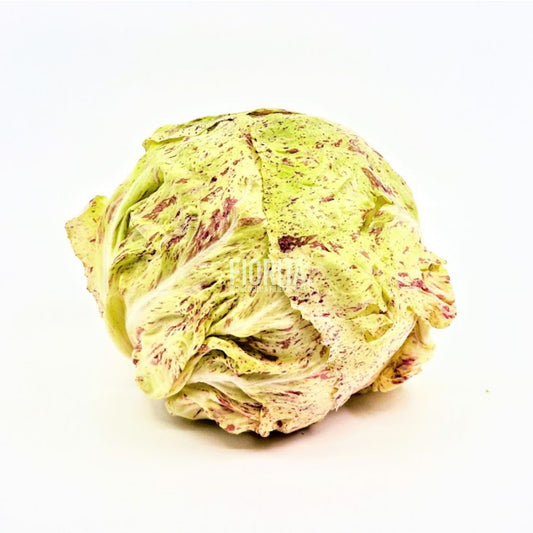 Bio Cicoria variegata di Lusia 350g