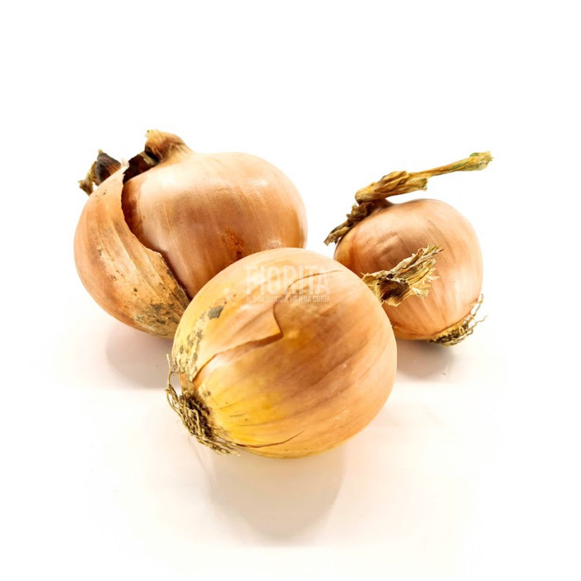 Bio Cipolle gialle 300g