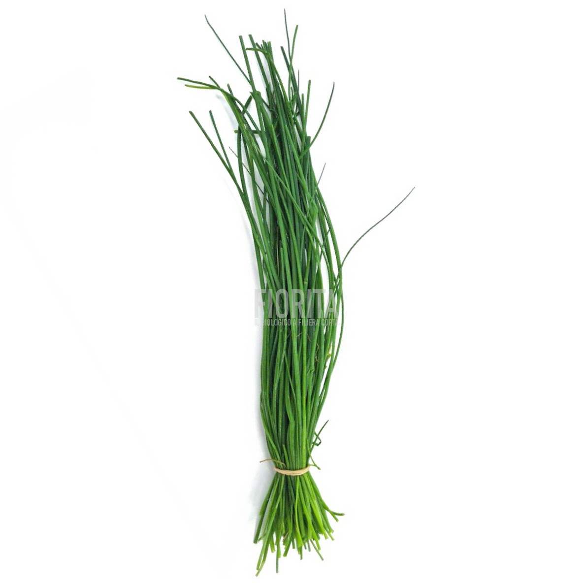 Bio Erba cipollina