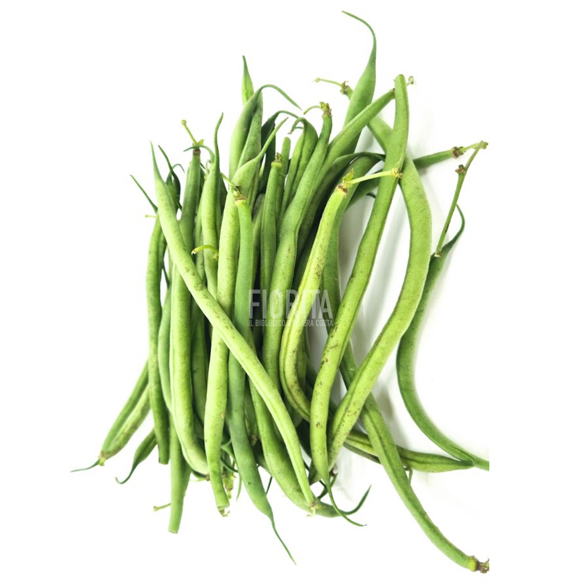 Bio Fagiolini raccolti a mano 300g