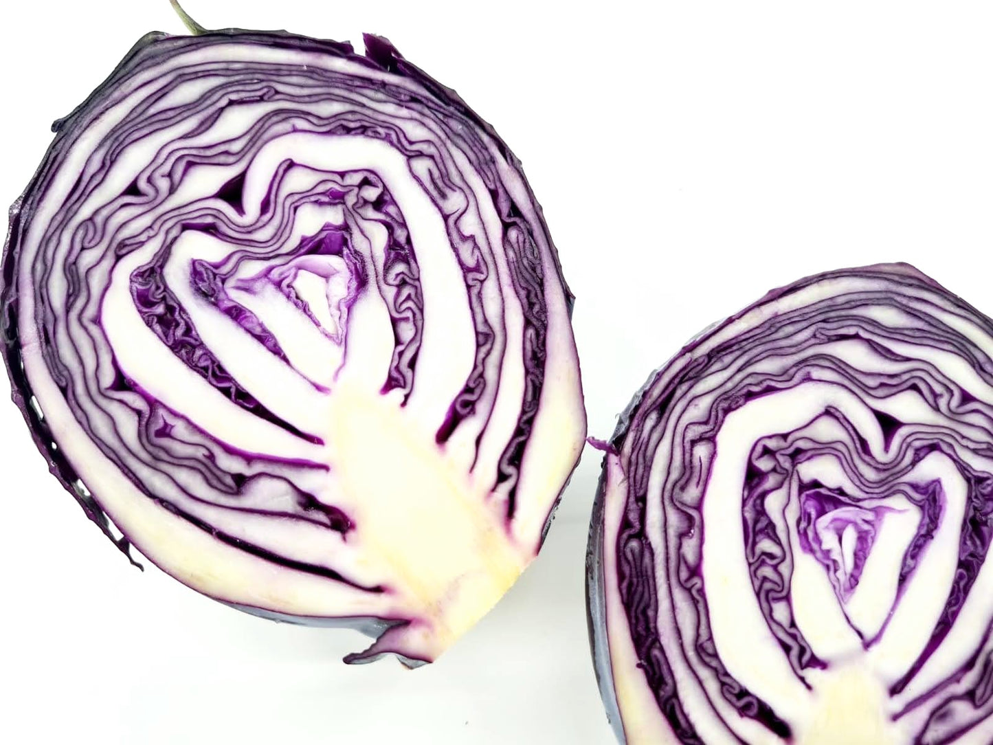 Bio cavolo cappuccio viola (Cabis) 600g