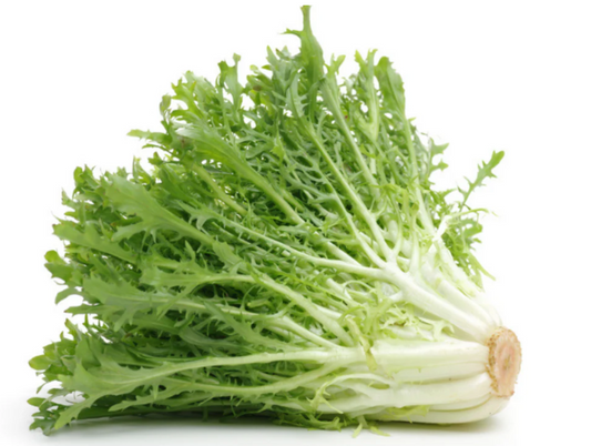 Bio Indivia riccia 550g/pz