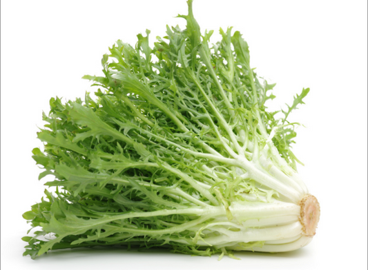 Bio Indivia riccia 400g