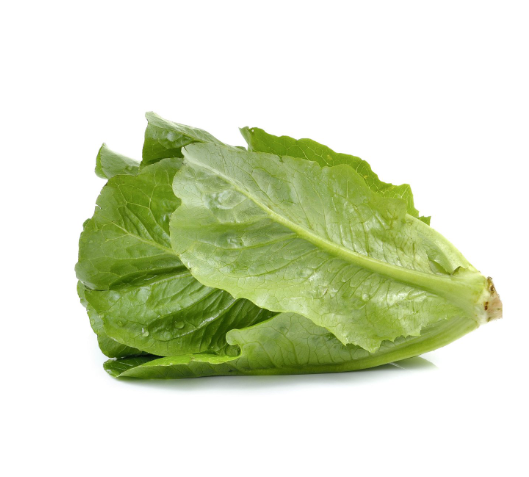Bio insalata Romana