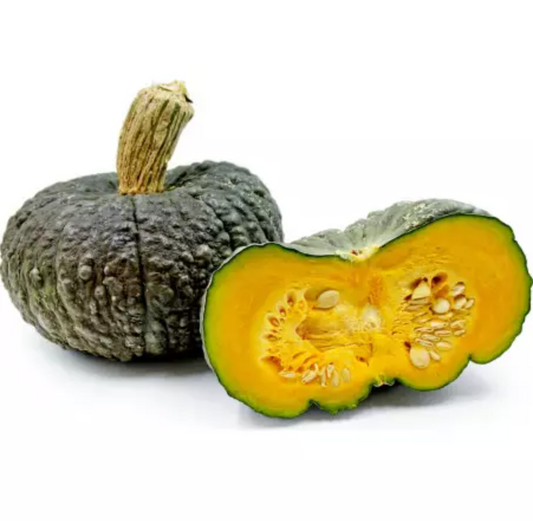 Bio Zucca Marina di Chioggia