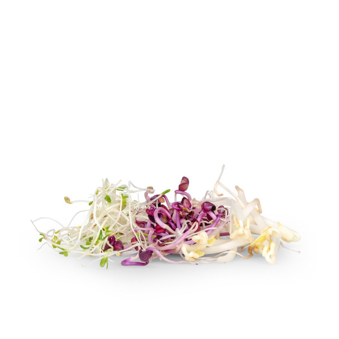 Schmid - Germogli Mix Alfalfa Mungo Ravanello rosso 100g