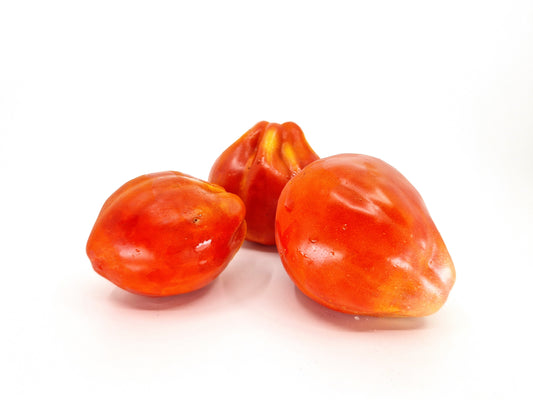 Bio Pomodori Cuore di bue 500g/2-3pz