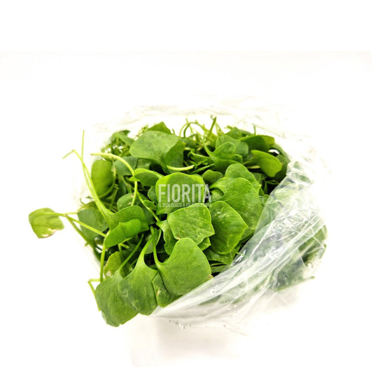 Bio Portulaca invernale 100g
