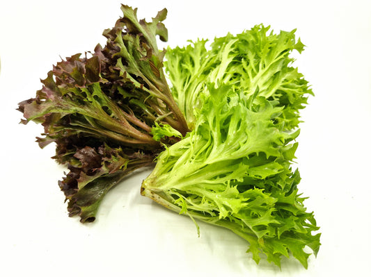 Bio Insalata Salanova riccia 200g