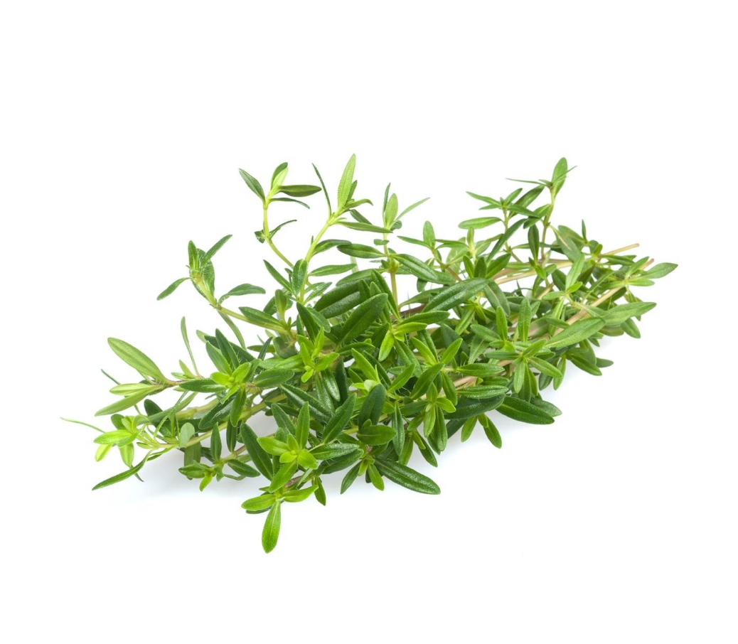 Bio Santoreggia 50g