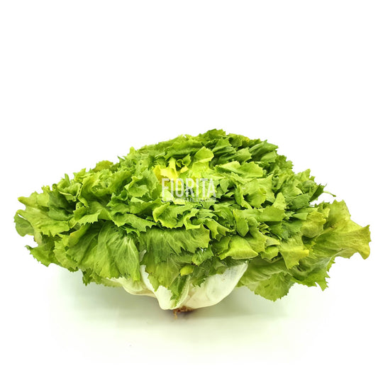Bio Scarola 500g/pz