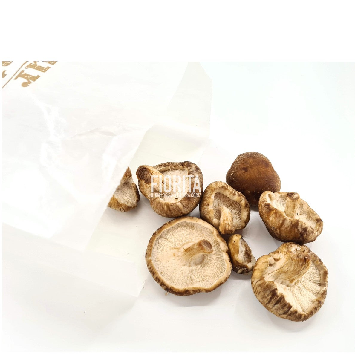 Bio Funghi Shitake 100g