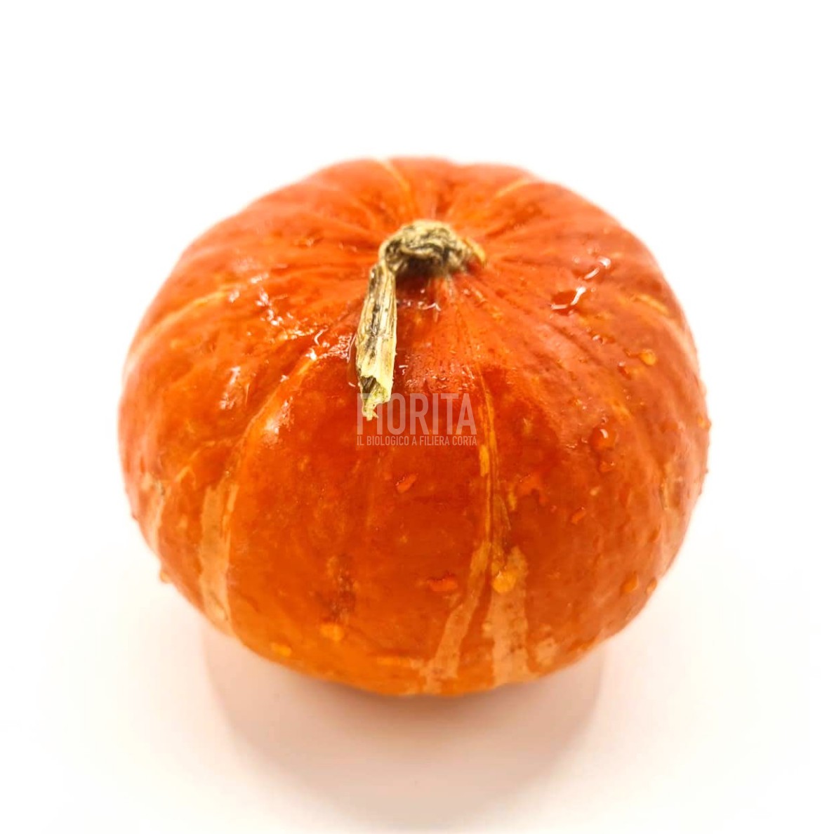 Bio Zucca Potimarron 1kg/pz